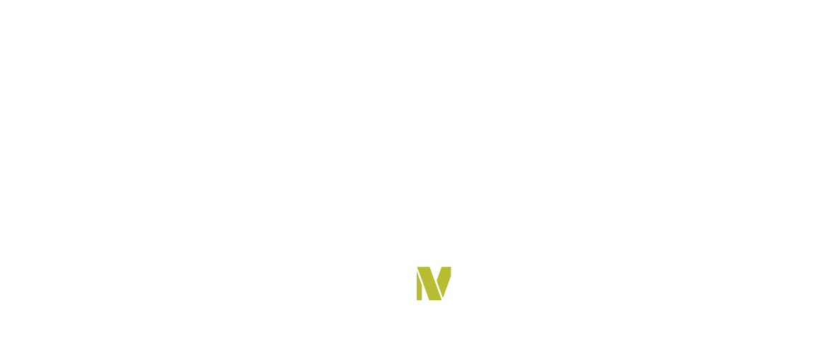 United in Service — A Tribute Experience, created by DAV
